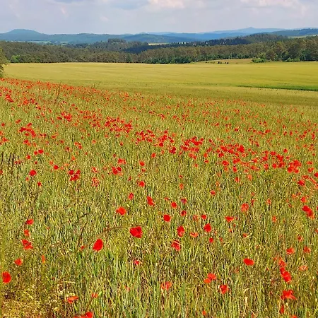 Bei Nuerburgring, Parking, Homeoffice * Blankenheim