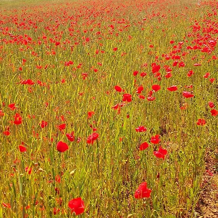 Apartman Bei Nuerburgring, Parking, Homeoffice