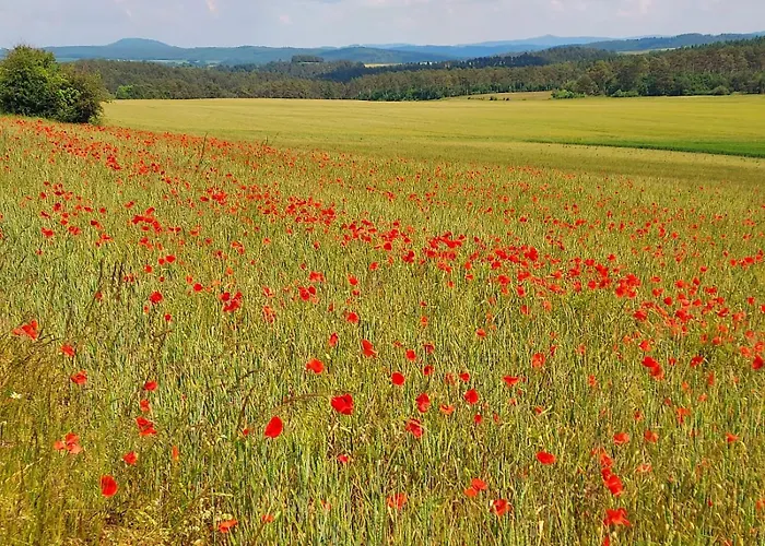 Bei Nuerburgring, Parking, Homeoffice * Blankenheim