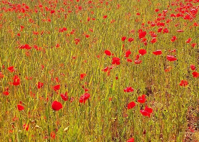 Appartamento Bei Nuerburgring, Parking, Homeoffice